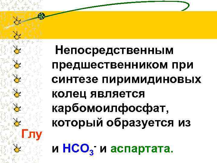Глу Непосредственным предшественником при синтезе пиримидиновых колец является карбомоилфосфат, который образуется из и НСО