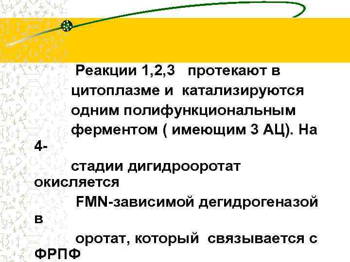 4 - Реакции 1, 2, 3 протекают в цитоплазме и катализируются одним полифункциональным ферментом