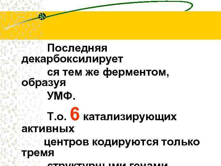 Последняя декарбоксилирует ся тем же ферментом, образуя УМФ. 6 Т. о. катализирующих активных центров