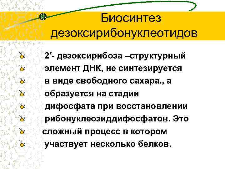 Биосинтез дезоксирибонуклеотидов 2′- дезоксирибоза –структурный элемент ДНК, не синтезируется в виде свободного сахара. ,