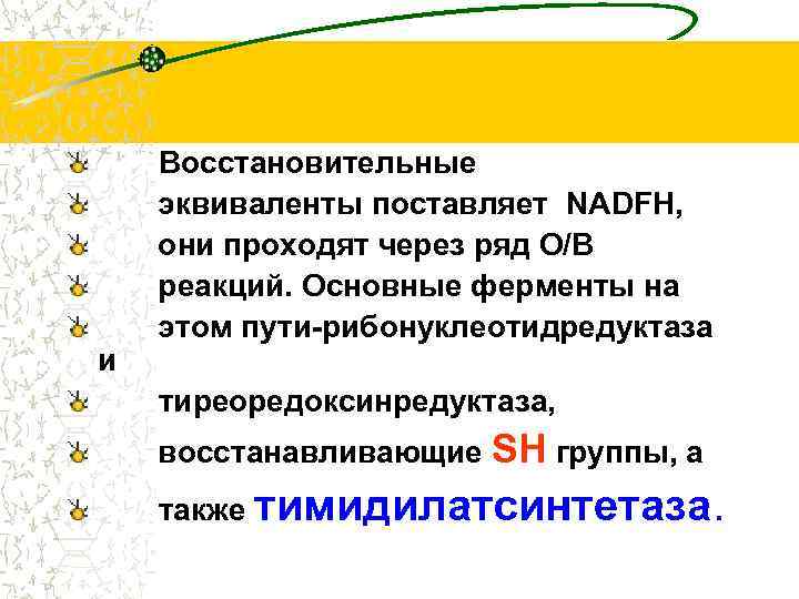 и Восстановительные эквиваленты поставляет NADFH, они проходят через ряд О/В реакций. Основные ферменты на