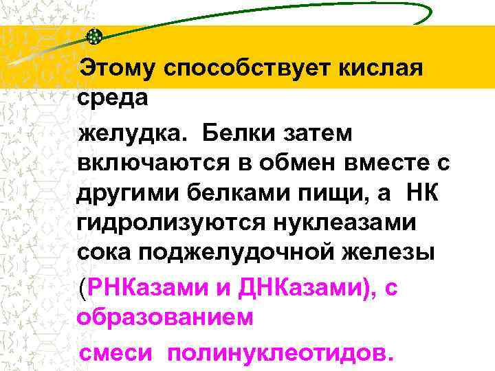 Этому способствует кислая среда желудка. Белки затем включаются в обмен вместе с другими белками