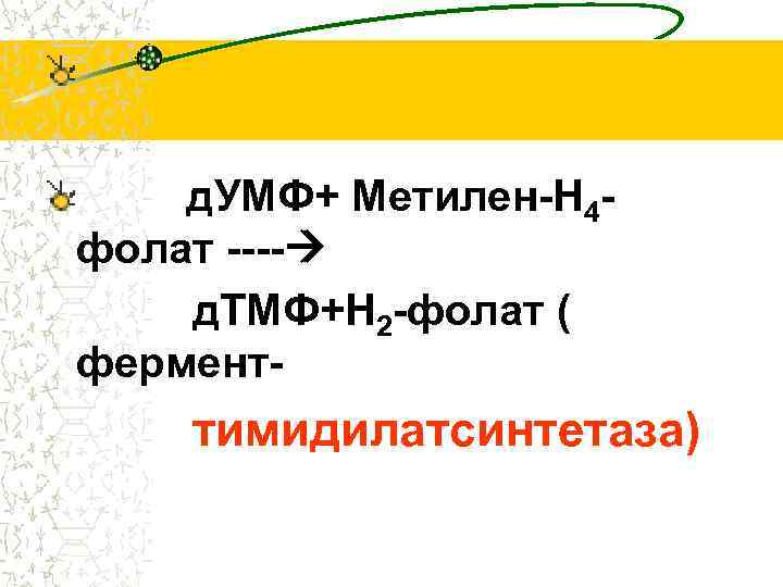 д. УМФ+ Метилен-Н 4 фолат ---- д. ТМФ+Н 2 -фолат ( фермент- тимидилатсинтетаза) 