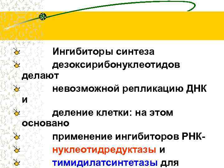 Ингибиторы синтеза дезоксирибонуклеотидов делают невозможной репликацию ДНК и деление клетки: на этом основано применение
