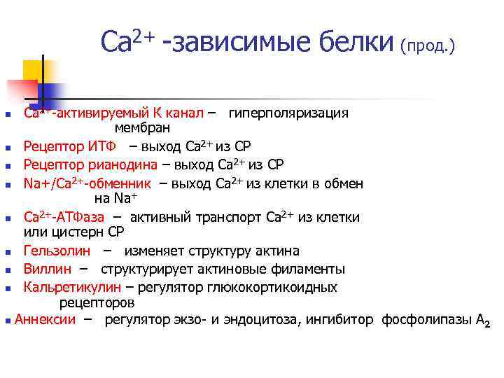 Са 2+ -зависимые белки (прод. ) Са 2+-активируемый К канал – гиперполяризация мембран n