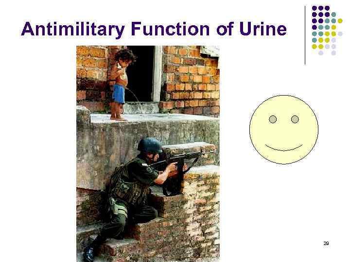 Antimilitary Function of Urine 29 