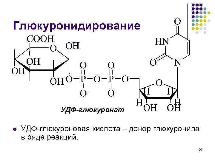 Глюкуронидирование УДФ-глюкуронат l УДФ-глюкуроновая кислота – донор глюкуронила в ряде реакций. 60 