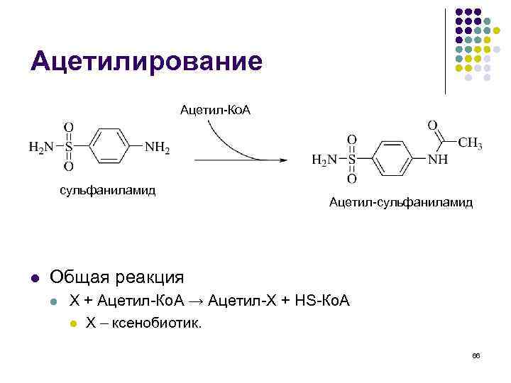 Ацетилирование Ацетил-Ко. А сульфаниламид l Ацетил-сульфаниламид Общая реакция l X + Ацетил-Ко. А →
