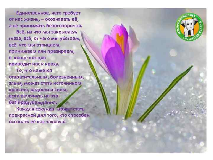 Единственное, чего требует от нас жизнь, – осознавать её, а не принимать безоговорочно. Всё,