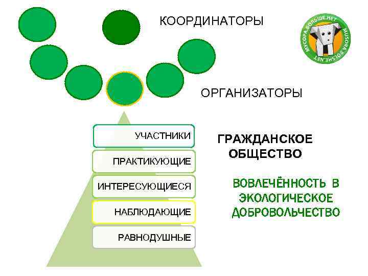 КООРДИНАТОРЫ ОРГАНИЗАТОРЫ УЧАСТНИКИ ПРАКТИКУЮЩИЕ ИНТЕРЕСУЮЩИЕСЯ НАБЛЮДАЮЩИЕ РАВНОДУШНЫЕ ГРАЖДАНСКОЕ ОБЩЕСТВО ВОВЛЕЧЁННОСТЬ В ЭКОЛОГИЧЕСКОЕ ДОБРОВОЛЬЧЕСТВО 