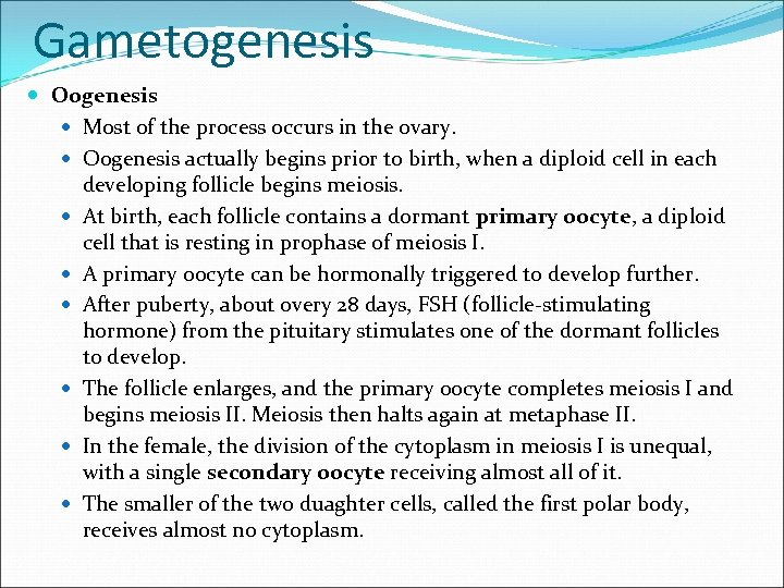 Gametogenesis Oogenesis Most of the process occurs in the ovary. Oogenesis actually begins prior