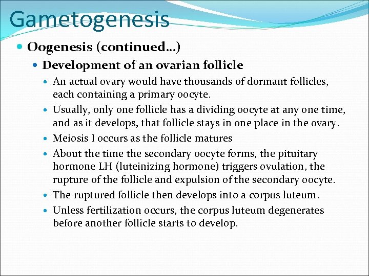 Gametogenesis Oogenesis (continued…) Development of an ovarian follicle An actual ovary would have thousands