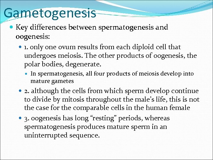 Gametogenesis Key differences between spermatogenesis and oogenesis: 1. only one ovum results from each