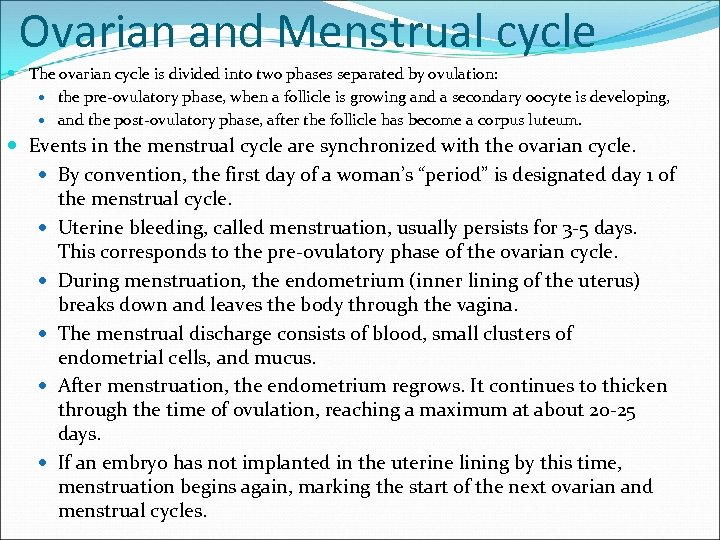 Ovarian and Menstrual cycle The ovarian cycle is divided into two phases separated by