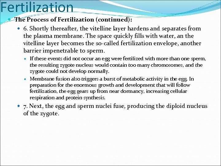 Fertilization The Process of Fertilization (continued): 6. Shortly thereafter, the vitelline layer hardens and