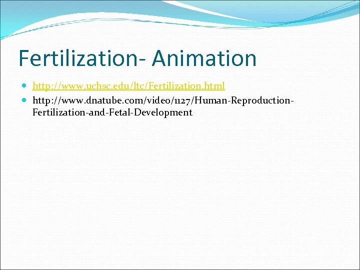 Fertilization- Animation http: //www. uchsc. edu/ltc/Fertilization. html http: //www. dnatube. com/video/1127/Human-Reproduction. Fertilization-and-Fetal-Development 