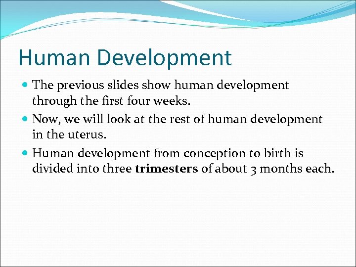 Human Development The previous slides show human development through the first four weeks. Now,