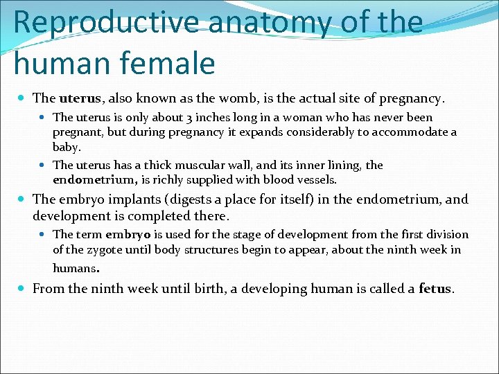 Reproductive anatomy of the human female The uterus, also known as the womb, is