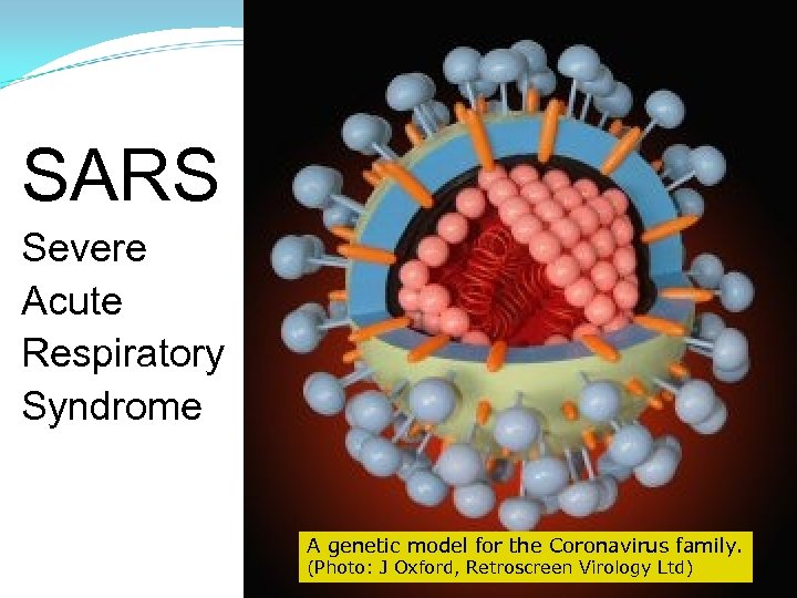  SARS Severe Acute Respiratory Syndrome A genetic model for the Coronavirus family. (Photo: