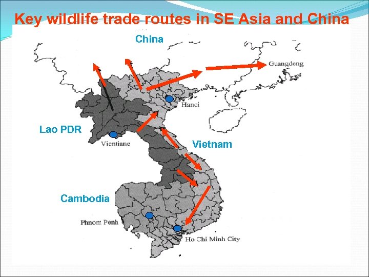 Key wildlife trade routes in SE Asia and China Lao PDR Vietnam Cambodia 