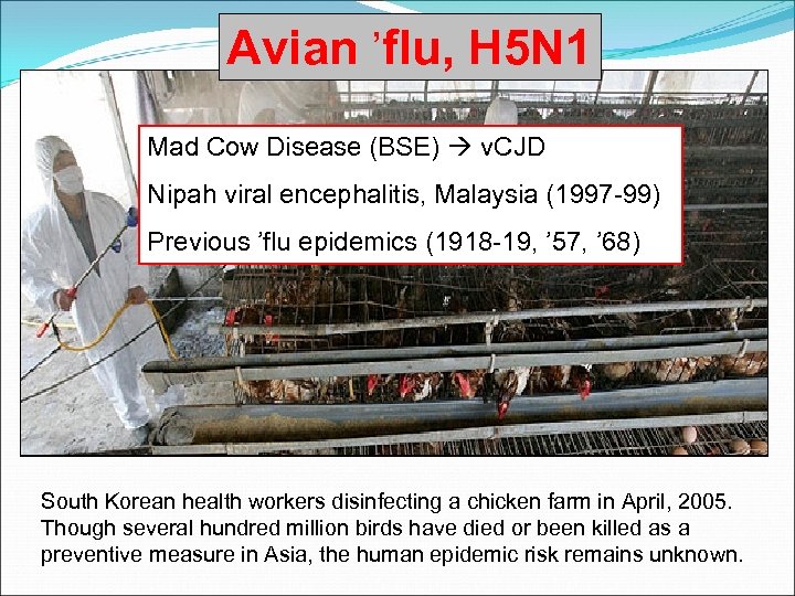 Avian ’flu, H 5 N 1 Mad Cow Disease (BSE) v. CJD Nipah viral