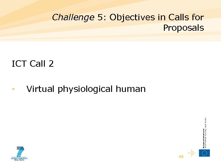 Challenge 5: Objectives in Calls for Proposals ICT Call 2 • Virtual physiological human