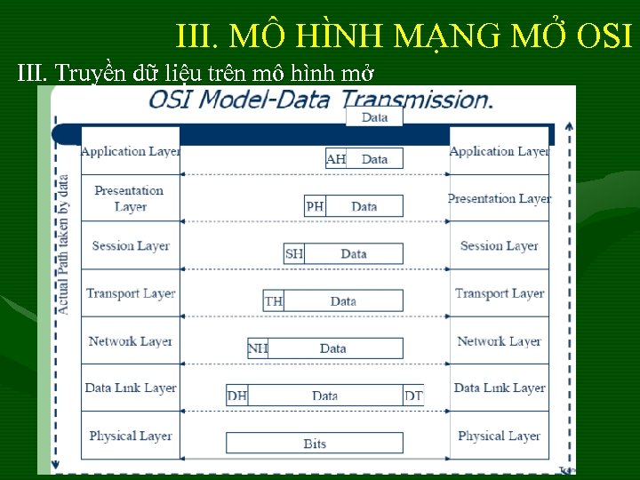 III. MÔ HÌNH MẠNG MỞ OSI III. Truyền dữ liệu trên mô hình mở