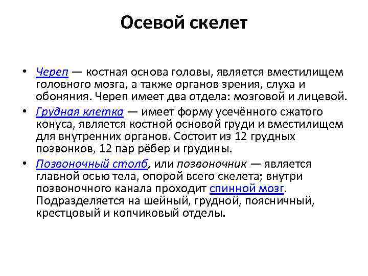 Осевой скелет • Череп — костная основа головы, является вместилищем головного мозга, а также