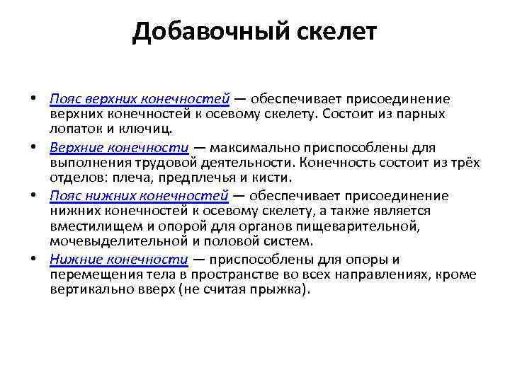 Добавочный скелет • Пояс верхних конечностей — обеспечивает присоединение верхних конечностей к осевому скелету.