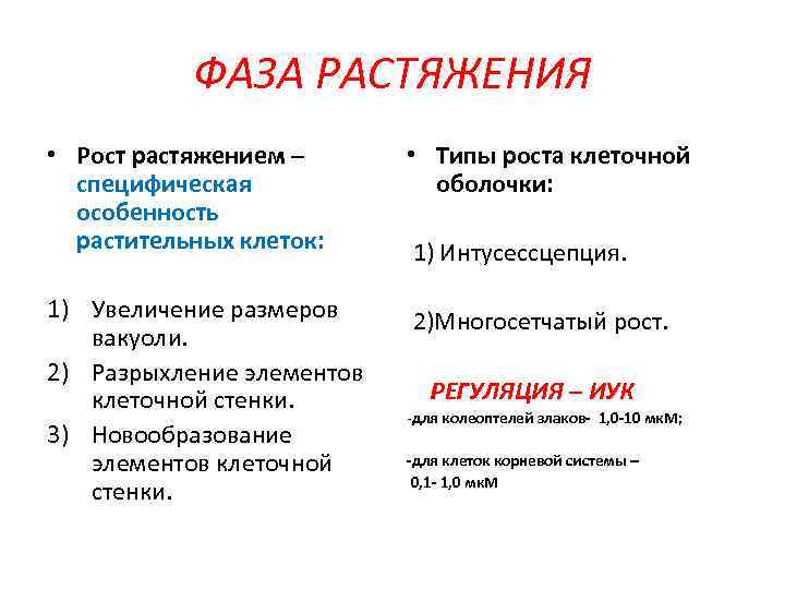 ФАЗА РАСТЯЖЕНИЯ • Рост растяжением – специфическая особенность растительных клеток: • Типы роста клеточной