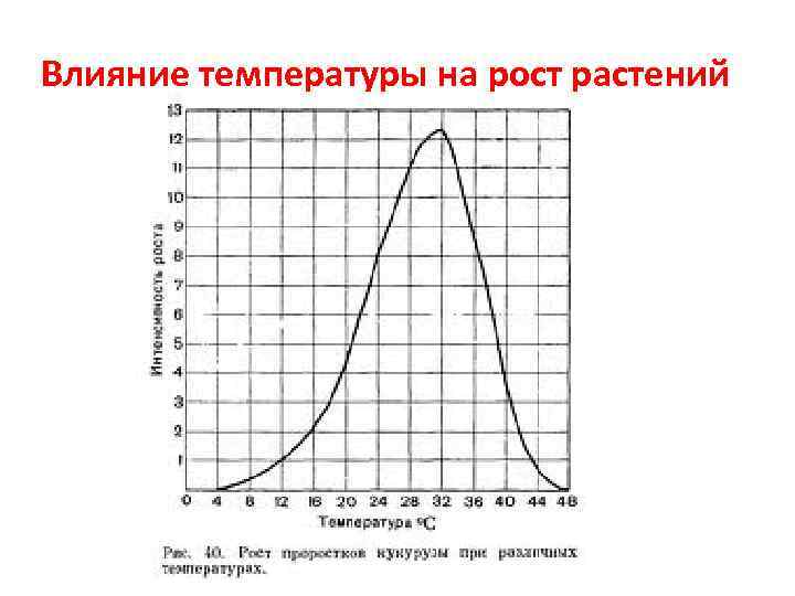 Влияние температуры на рост растений 