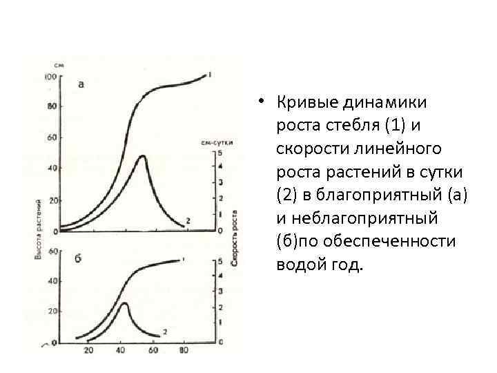  • Кривые динамики роста стебля (1) и скорости линейного роста растений в сутки