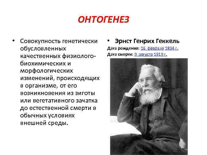 ОНТОГЕНЕЗ • Совокупность генетически • Эрнст Генрих Геккель Дата рождения: 16 февраля 1834 г.