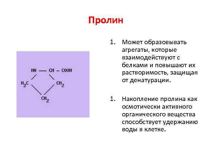 Пролин 1. Может образовывать агрегаты, которые взаимодействуют с белками и повышают их растворимость, защищая