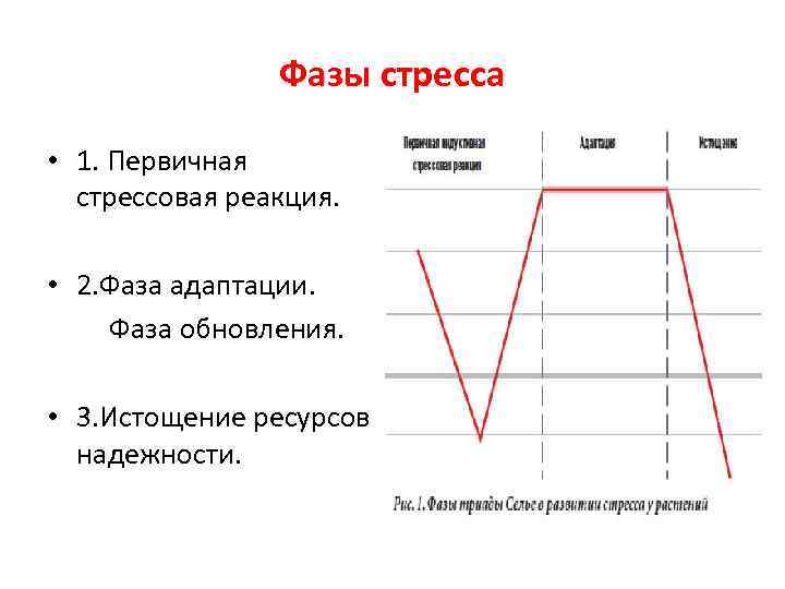 Фазы a b c. Фазы стресса. Фазы стрессового реагирования. Фазы стрессовой реакции. Фазы стресса график.