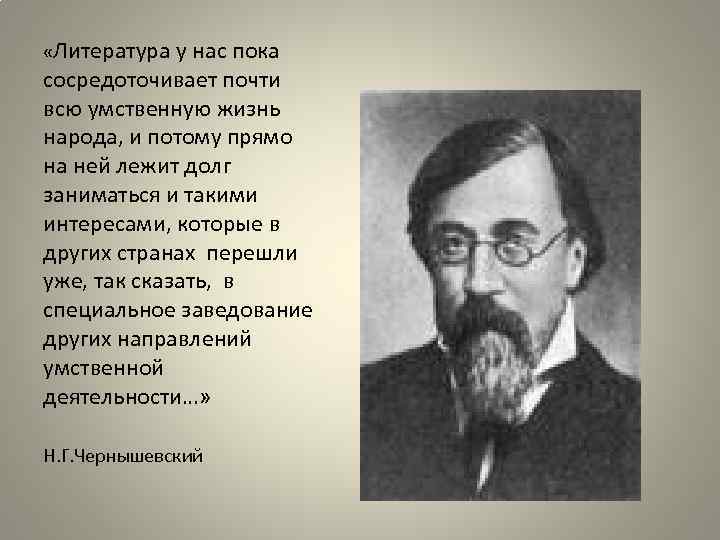  «Литература у нас пока сосредоточивает почти всю умственную жизнь народа, и потому прямо