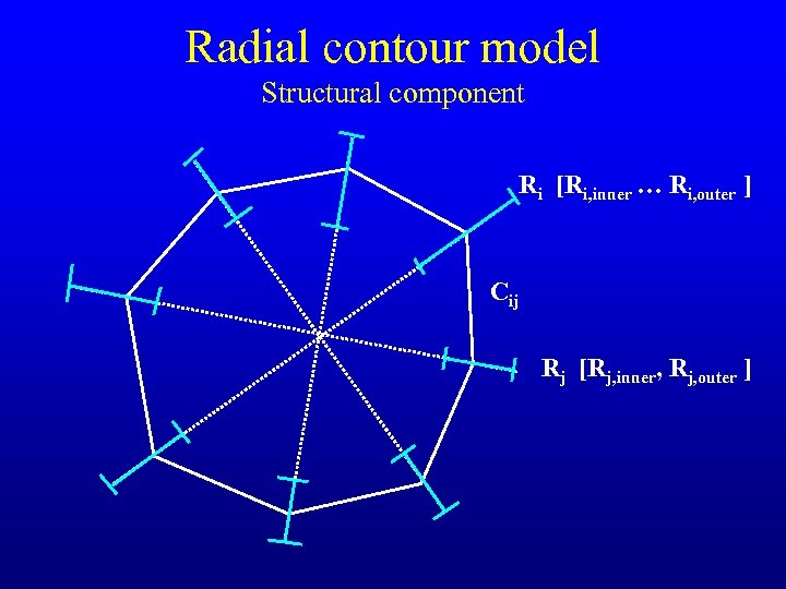 Radial contour model Structural component Ri [Ri, inner … Ri, outer ] Cij Rj
