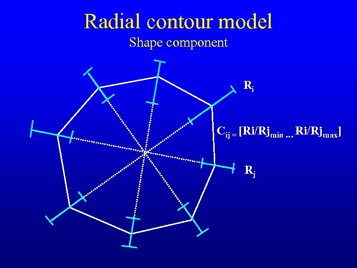 Radial contour model Shape component Ri Cij = [Ri/Rjmin … Ri/Rjmax] Rj 