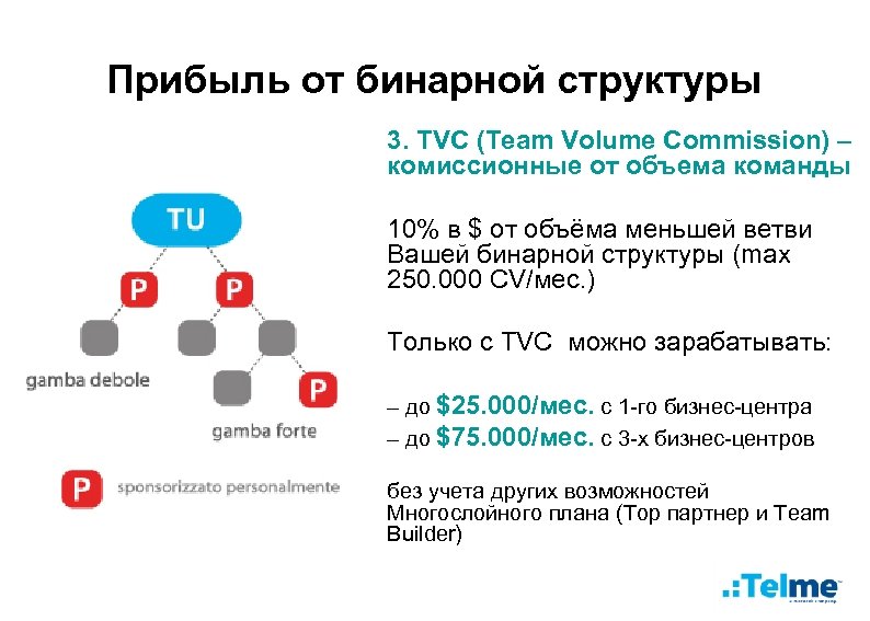 Прибыль от бинарной структуры 3. TVC (Team Volume Commission) – комиссионные от объема команды