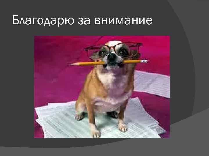 Благодарю за внимание 
