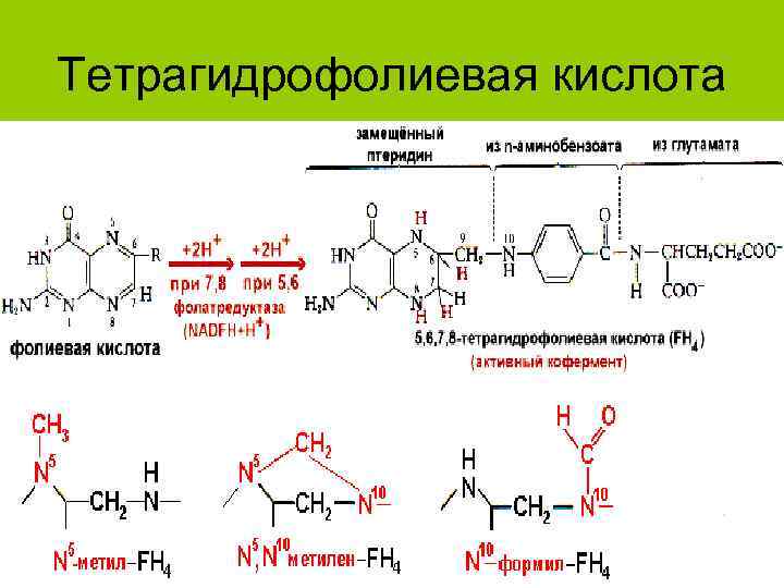 Тетрагидрофолиевая кислота 