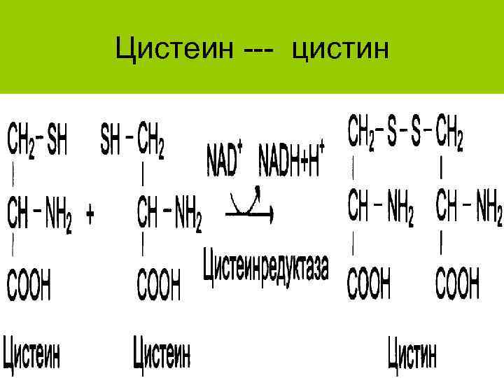 Цистеин --- цистин 