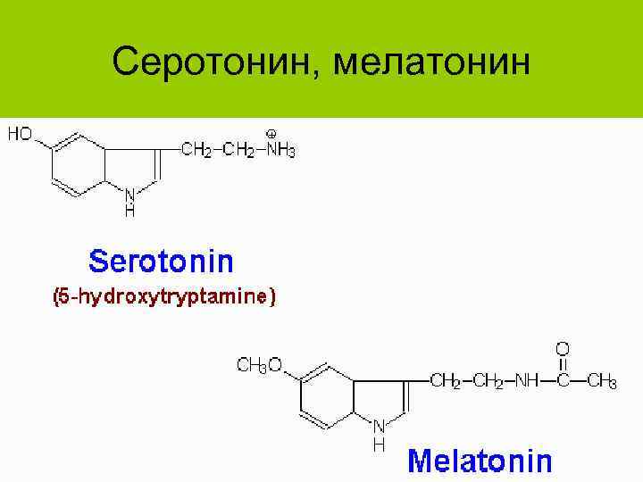 Серотонин, мелатонин 