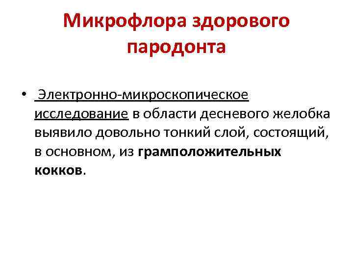 Микрофлора здорового пародонта • Электронно-микроскопическое исследование в области десневого желобка выявило довольно тонкий слой,