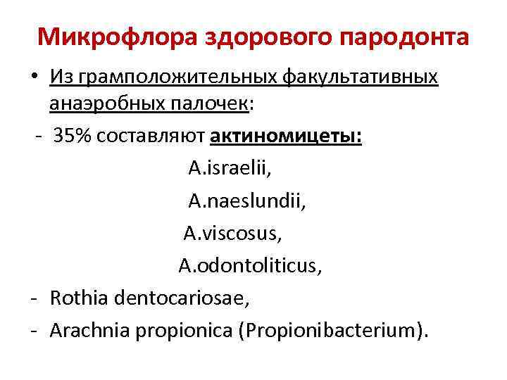 Микрофлора здорового пародонта • Из грамположительных факультативных анаэробных палочек: - 35% составляют актиномицеты: А.
