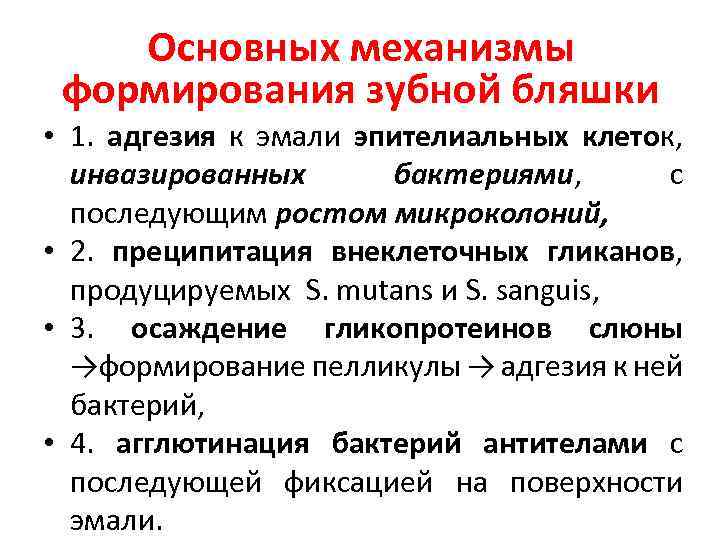 Основных механизмы формирования зубной бляшки • 1. адгезия к эмали эпителиальных клеток, инвазированных бактериями,