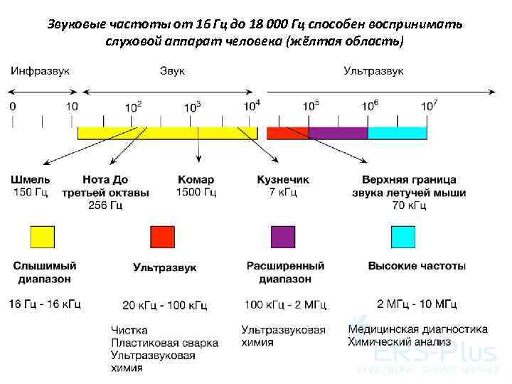 Звуковые частоты от 16 Гц до 18 000 Гц способен воспринимать слуховой аппарат человека