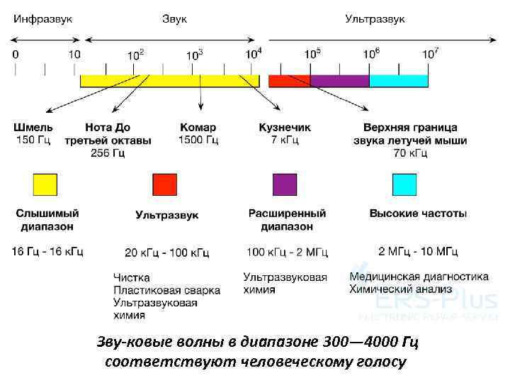 Зву ковые волны в диапазоне 300— 4000 Гц соответствуют человеческому голосу 