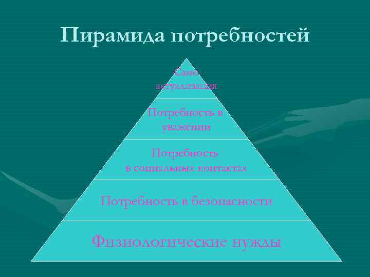 Пирамида потребностей Само актуализация Потребность в уважении Потребность в социальных контактах Потребность в безопасности