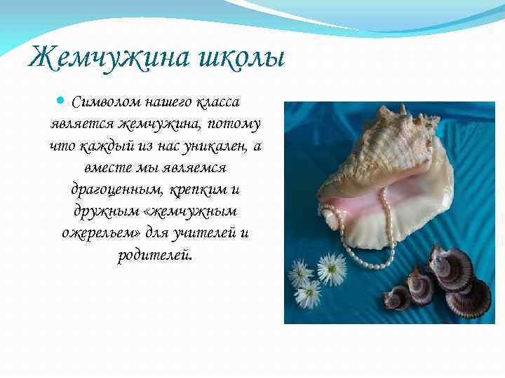 Жемчужина школы Символом нашего класса является жемчужина, потому что каждый из нас уникален, а
